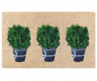 Rosemary Pots Regular Doormat