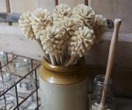 Natural Cup Brush - Beechwood Bottle Brush
