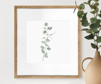 Kendale III Eucalyptus Botanical Print - Framed