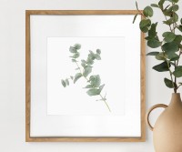 Kendale I Eucalyptus Botanical Print - Framed