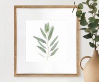 Kendale IV Eucalyptus Botanical Print - Framed