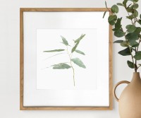 Kendale II Eucalyptus Botanical Print - Framed