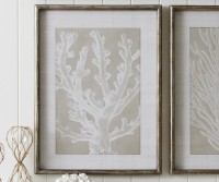 Tahiti Coral I Framed Print