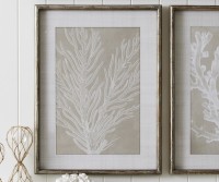 Tahiti Coral II Framed Print