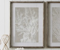 Tahiti Coral IV Framed Print