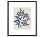 Indigo Seaweed II Blue Watercolour Wall Art Print