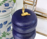 Pentland Gold Bee Box - Indigo Blue