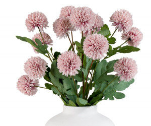 Set 5 Pink Kiku Chrysanthemum Stems