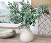 Jenkins Eucalyptus Bush Stem - Green