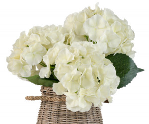 Set 3 Lush Cream Hydrangea Stems