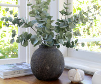 Wallace Silver Dollar Eucalyptus Stem