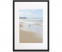 Oyster Catcher - A2 Framed Art Print