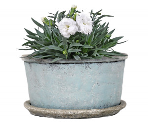Small Harrington Bluewash Wide Planter