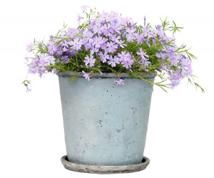 Large Harrington Bluewash Taper Plant Pot