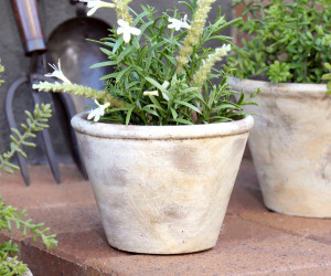 Small Woolcott Taper Plant Pot