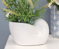 White Nautilus Shell Planter - Small