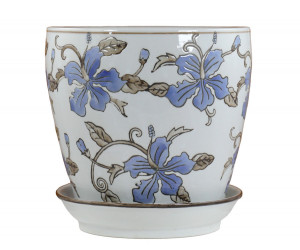 Medium Blue Hibiscus Plant Pot