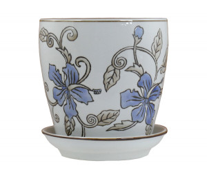 Small Blue Hibiscus Plant Pot