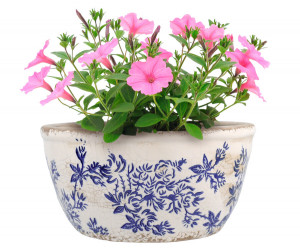 Small Arden Blue Floral Shallow Planter