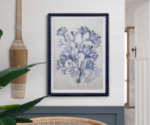 Marine Blue Seaweed III Framed Print