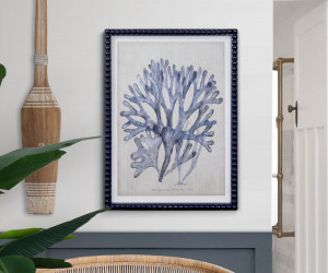 Marine Blue Seaweed I Framed Print
