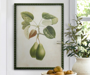 Lafayette Green Pear II Framed Botanical Print