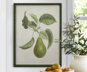 Lafayette Green Pear I Framed Botanical Print