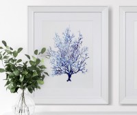 Coco Island I Blue Coral Framed Print