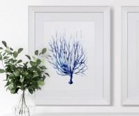 Coco Island II Blue Coral Framed Print