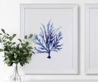 Coco Island III Blue Coral Framed Print