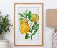 Orchard Lemons Framed Print